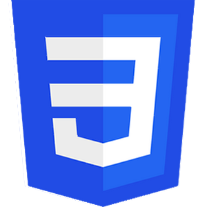 CSS Logo